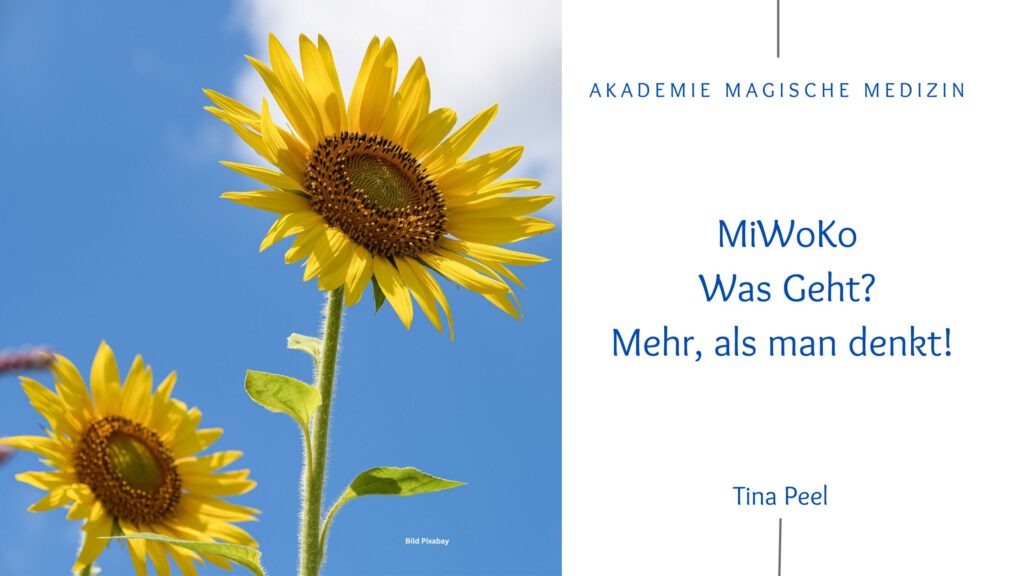 Akademie magische Medizin
Astrologie & Lebensberatung
Miwoko