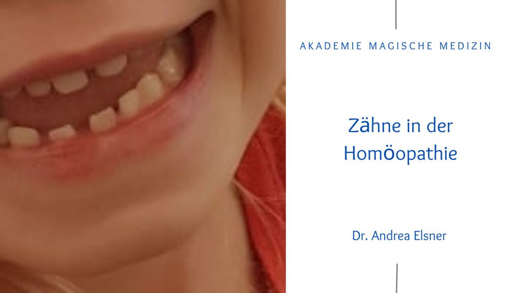 Akademie magische Medizin
Homöopathie