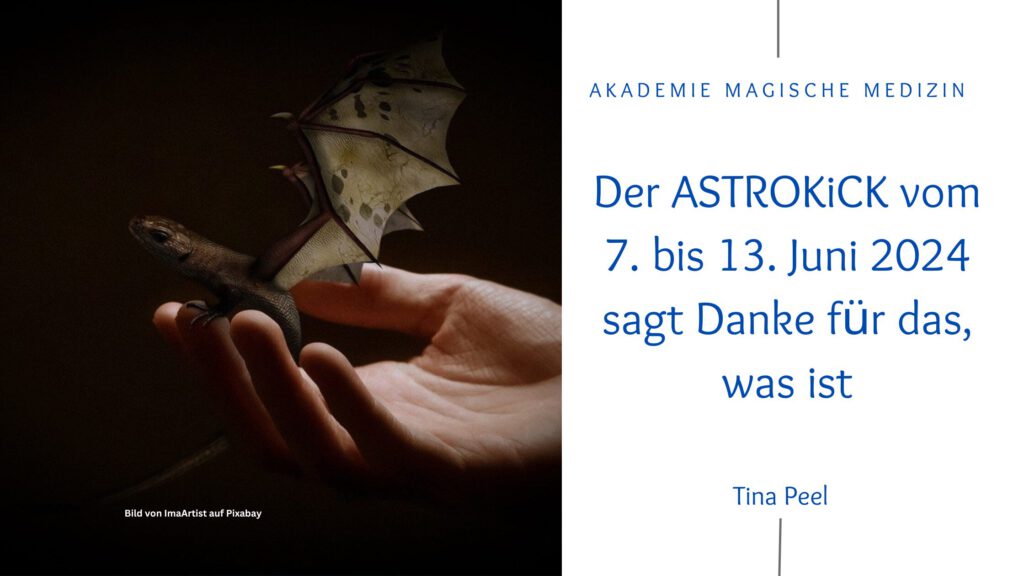 Akademie magische Medizin
Astrologie & Lebensberatung
Astrokick