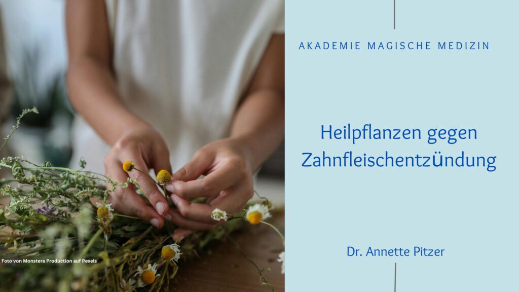 Akademie magische Medizin
Naturapotheke
Zähne