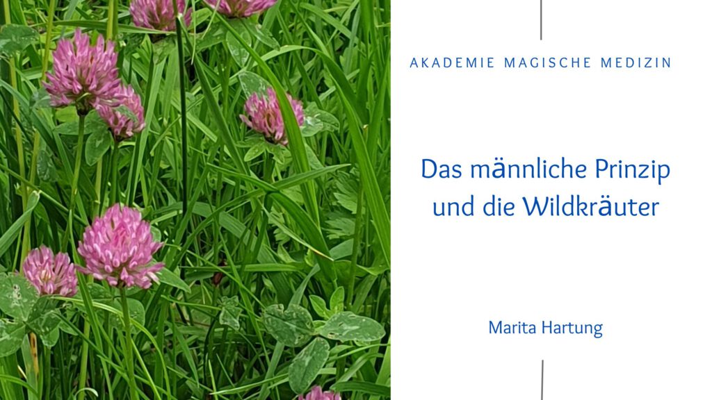 Akademie magische Medizin 
Wildkräuter