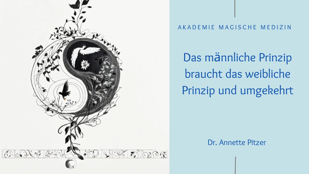 Akademie magische Medizin
Das männliche Prinzip