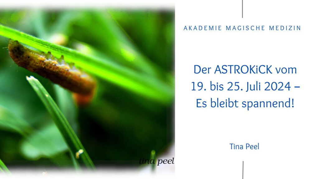 Akademie magische Medizin
Astrologie & Lebensberatung
Astrokick