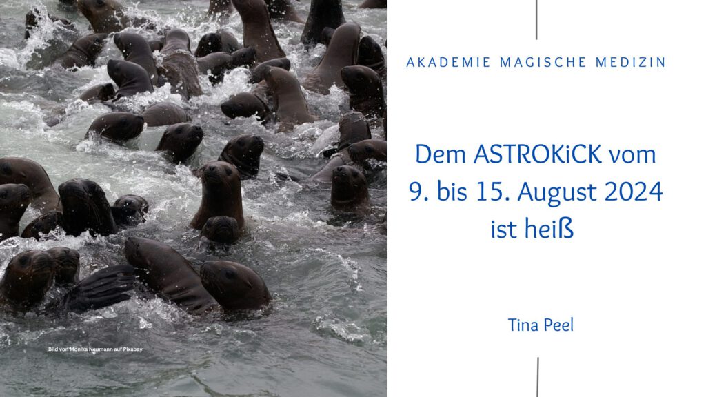 Akademie magische Medizin
Astrologie & Lebensberatung
Astrokick