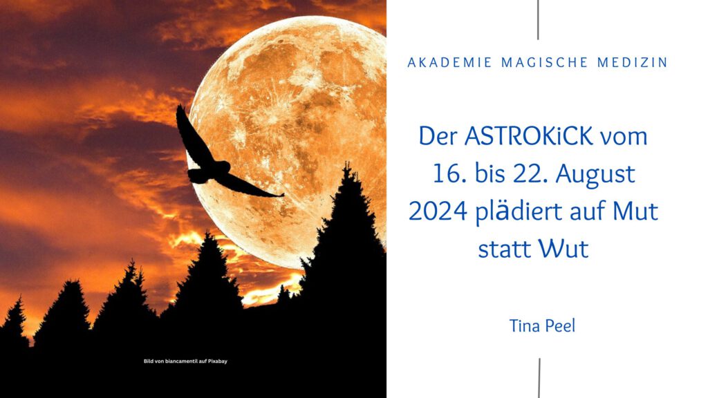 Akademie magische Medizin
Astrologie & Lebensberatung
Astrokick