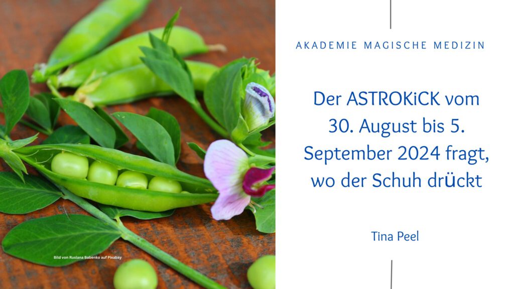 Akademie magische Medizin
Astrokick