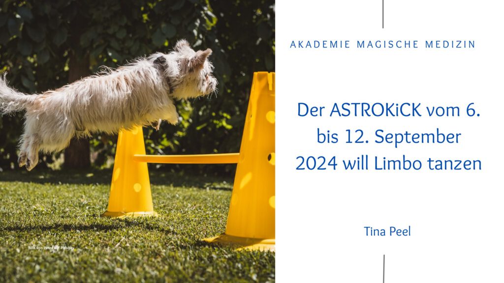 Akademie magische Medizin
Astrokick