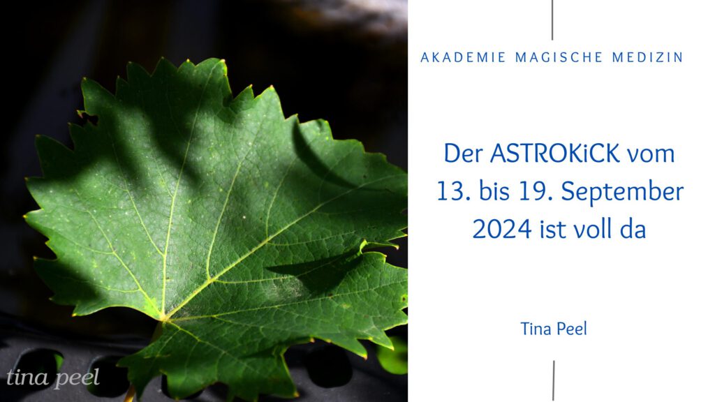 Akademie magische Medizin
Astrokick