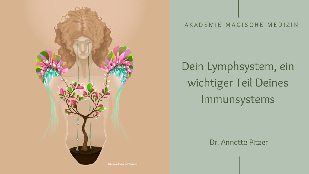 Akademie magische Medizin
Lymphe