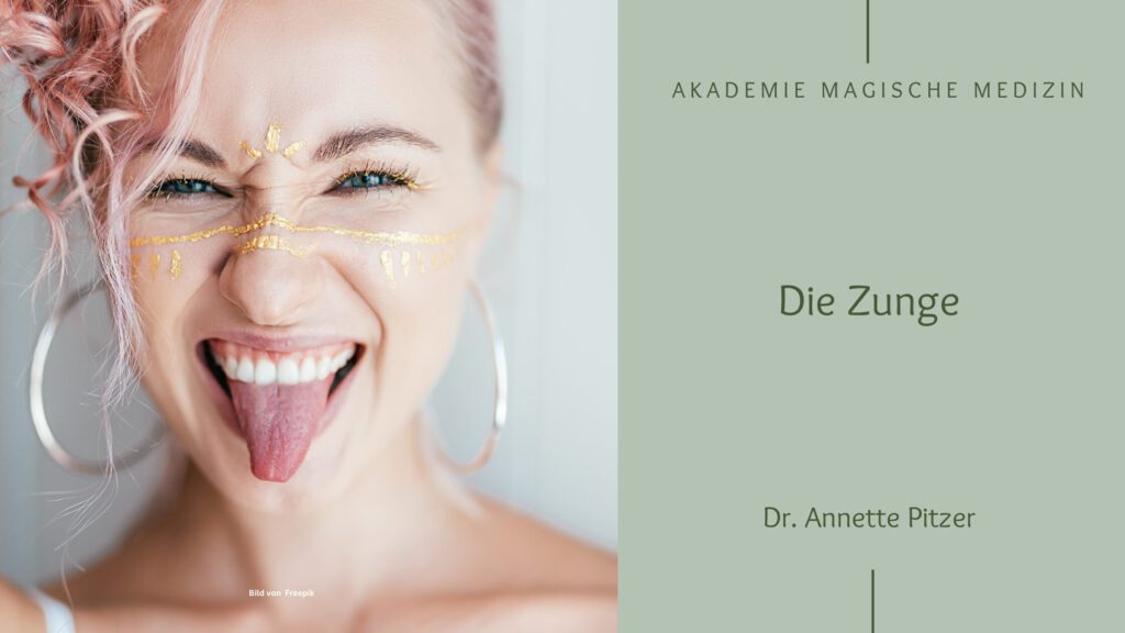 Akademie magische Medizin
Die Zunge