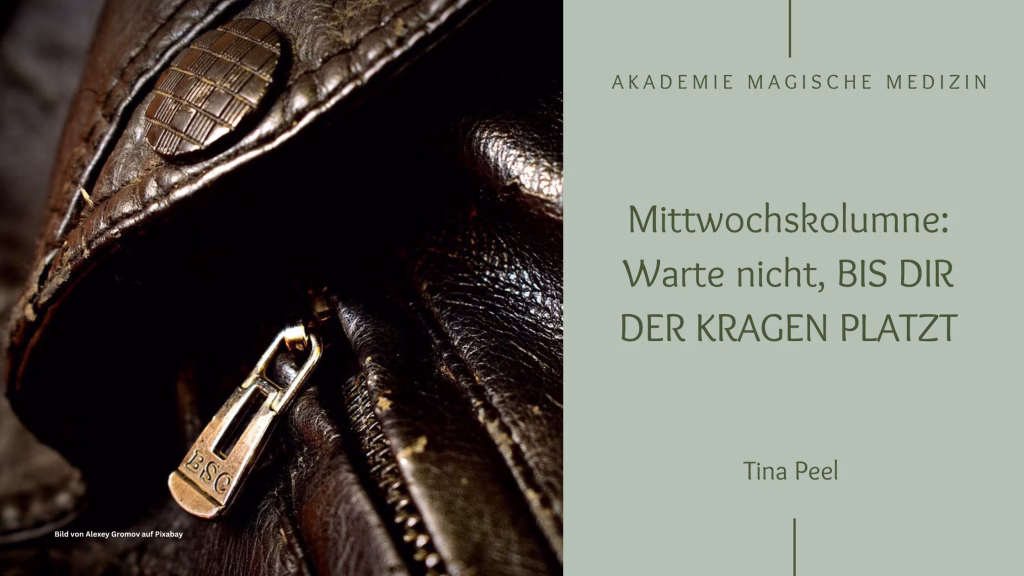 Mittwochskolumne