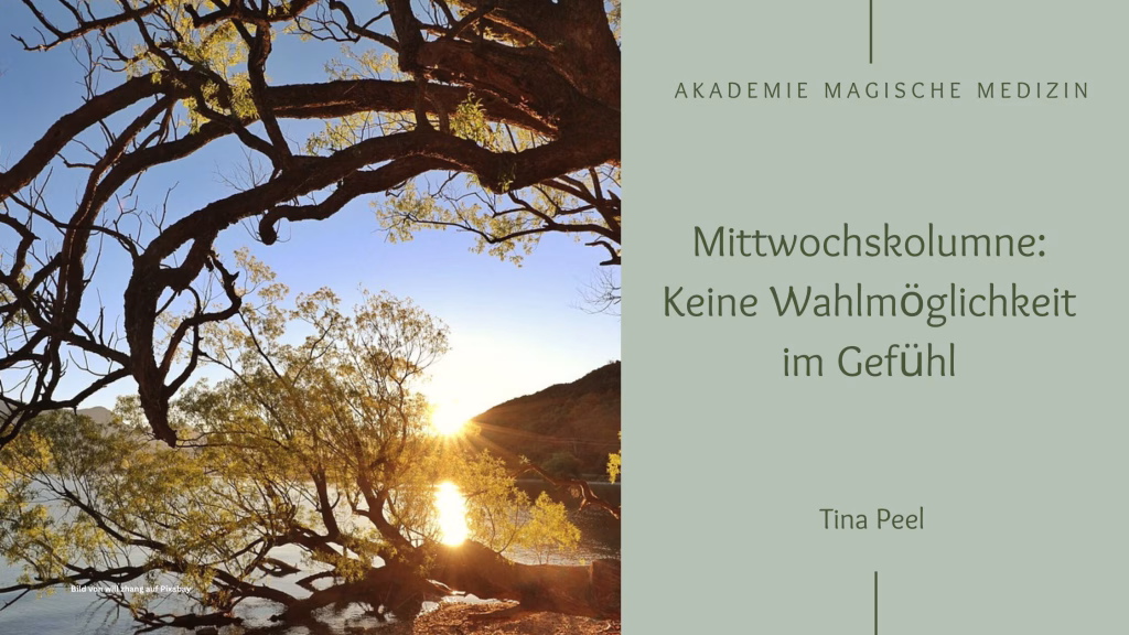 Mittwochskolumne