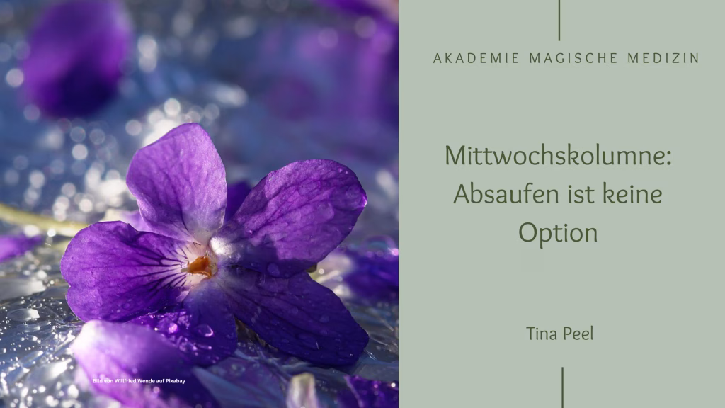 Mittwochskolumne
