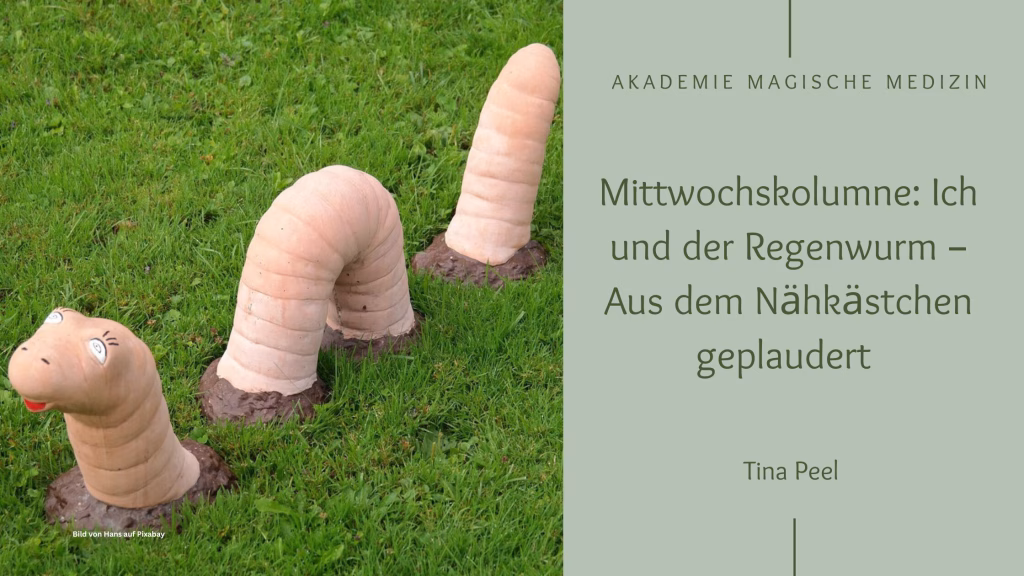 MiWoKo Regenwürmer
