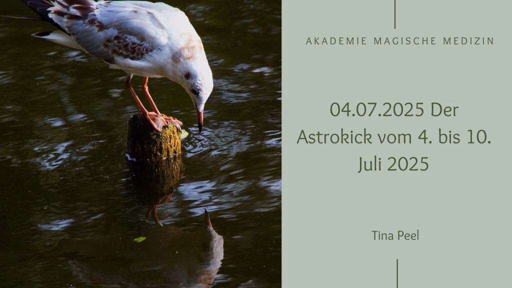 Astrologie