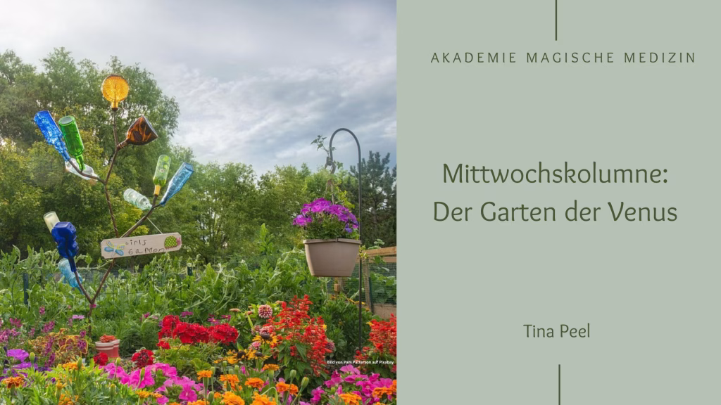 Astrologie
Mittwochskolumne
