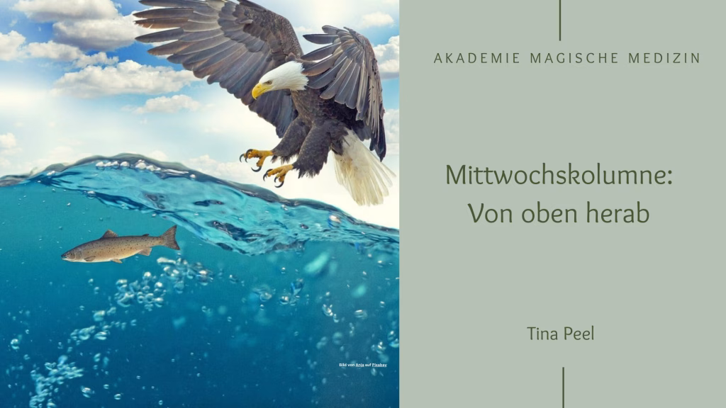Mittwochskolumne