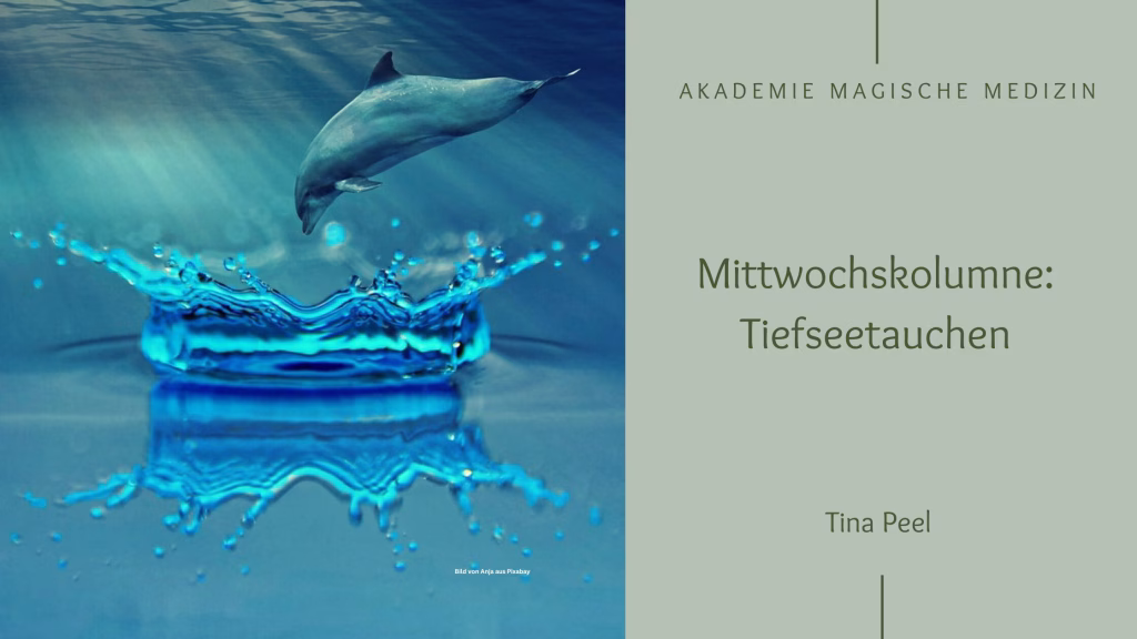 Mittwochskolumne